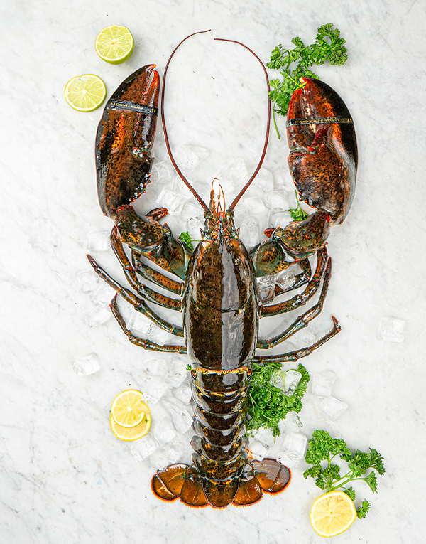 Halves - Chef Box (15 pcs) - Lobster Boys