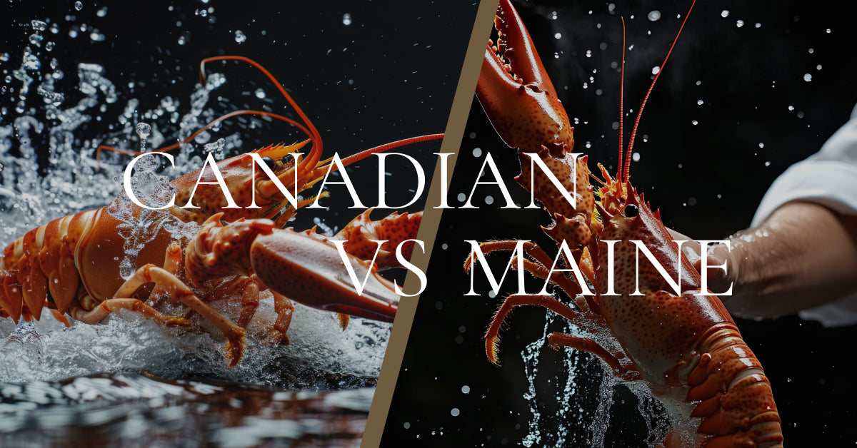 Canadian Lobster vs. Maine Lobster: Elevating Your Guest Experience with the Best Live Lobster on the Planet