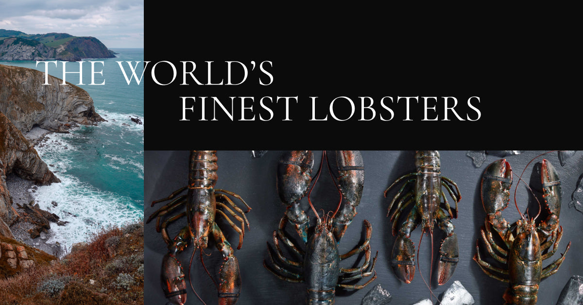 How Lobsterboys is Redefining Live, Sustainable Lobster