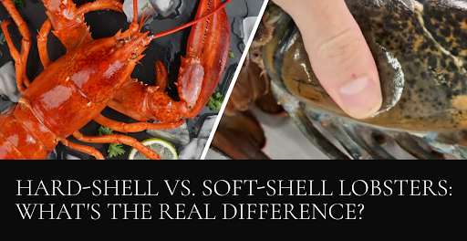 Hard-Shell vs. Soft-Shell Lobsters: What's the Real Difference?