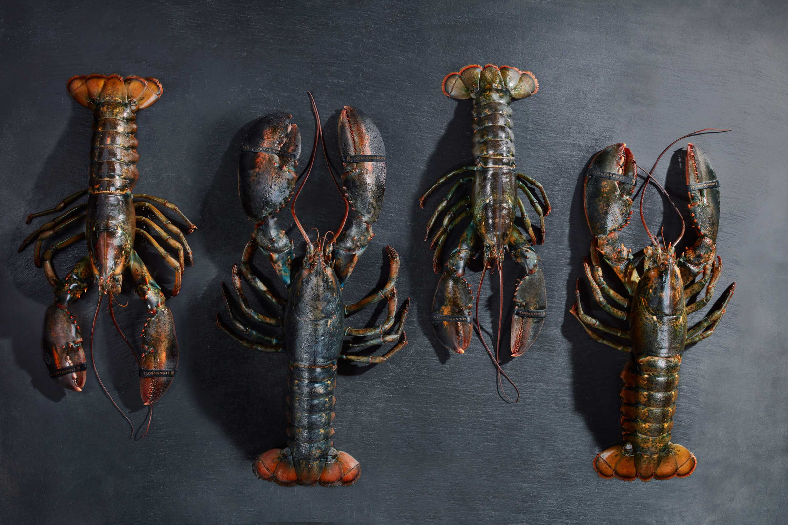 Lobster Boxes