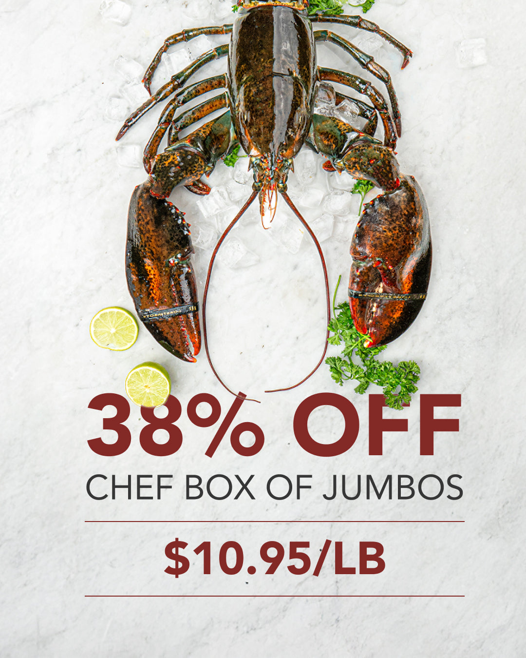 Large Jumbos - Chef Box (5 pcs)