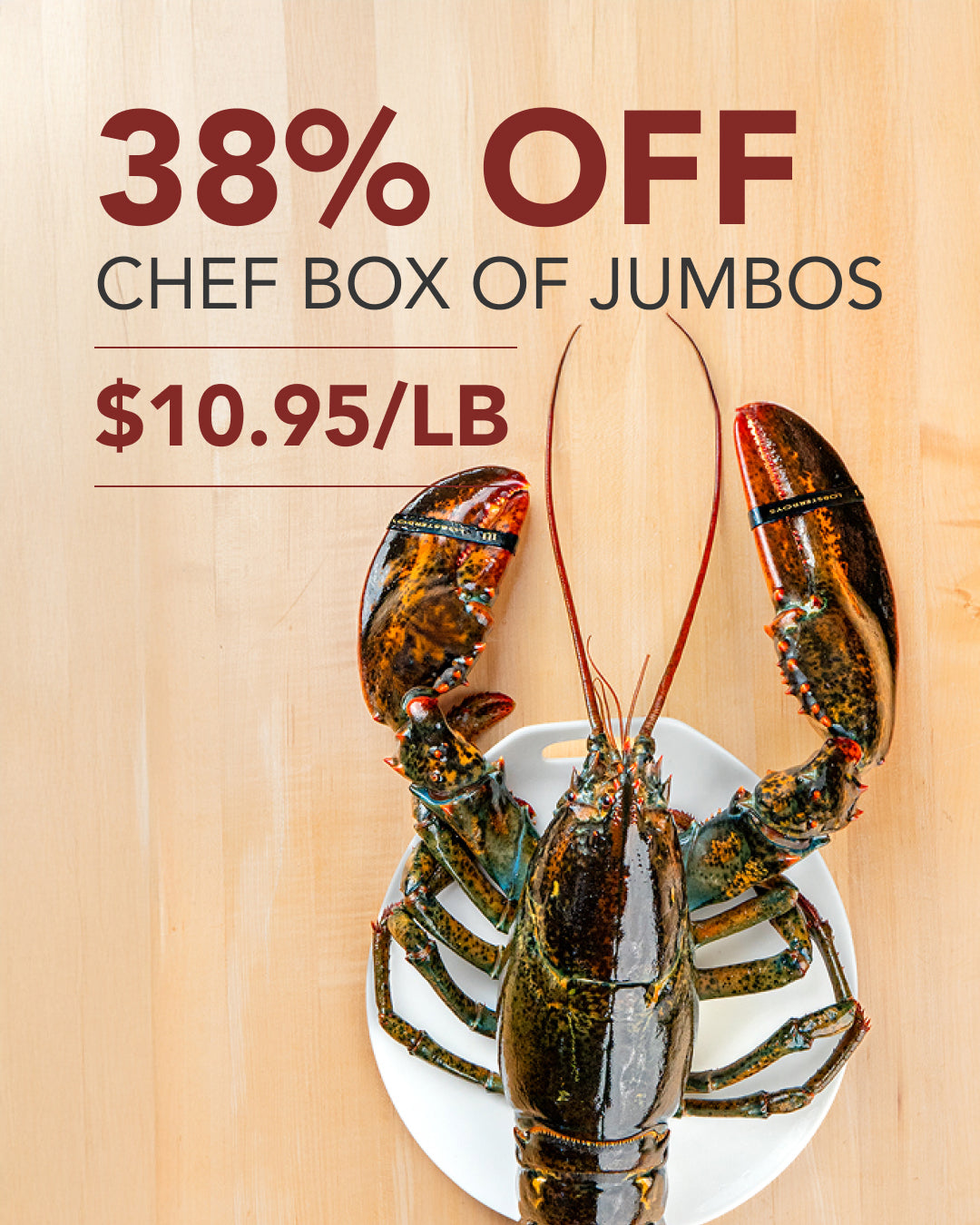 Large Jumbos - Chef Box (5 pcs)