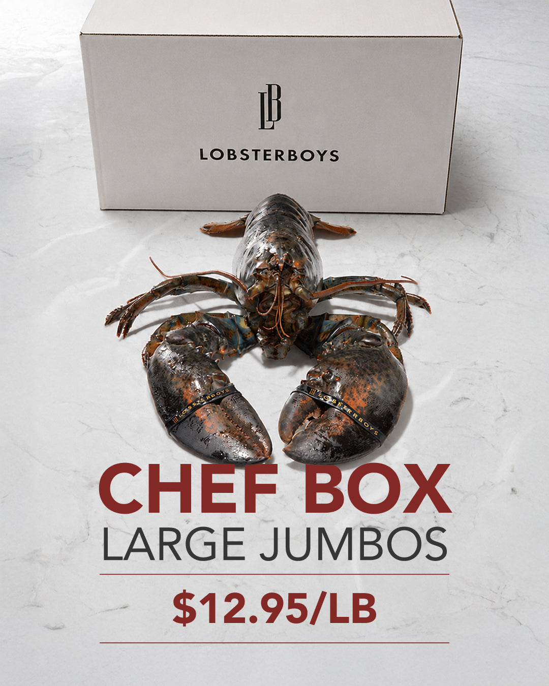 Large Jumbos - Chef Box (5 pcs)