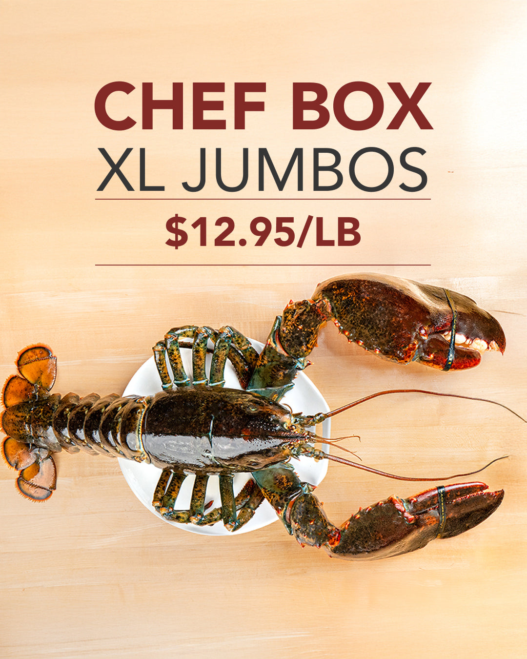 XL Jumbos - Chef Box (3 pcs)