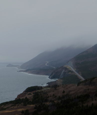 Lobster Live and Fresh 