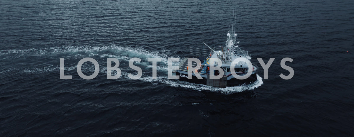 Lobsterboys hero image