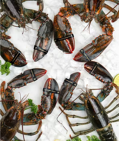 Wild Caught Lobster Chef Boxes
