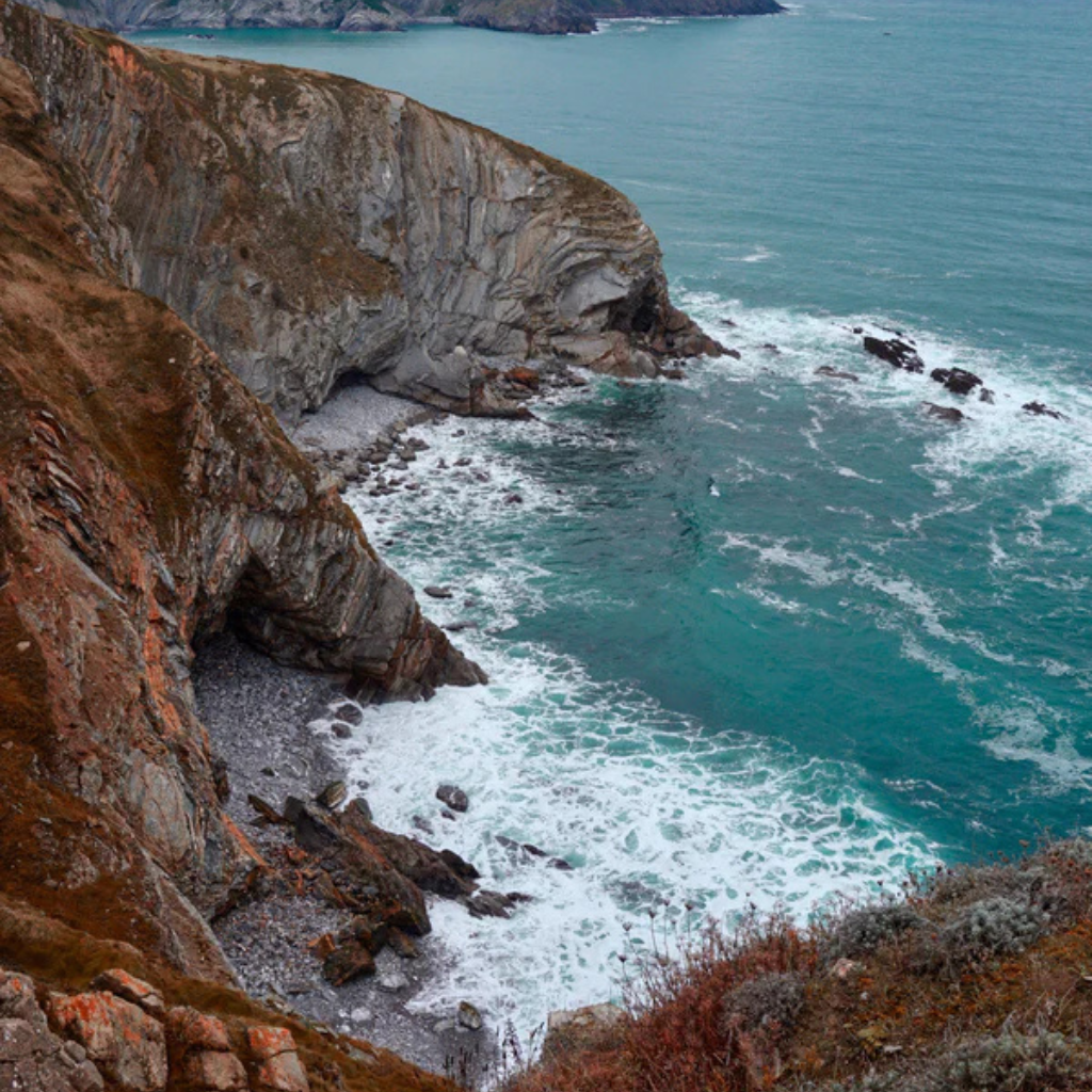 Live lobsters wild caught