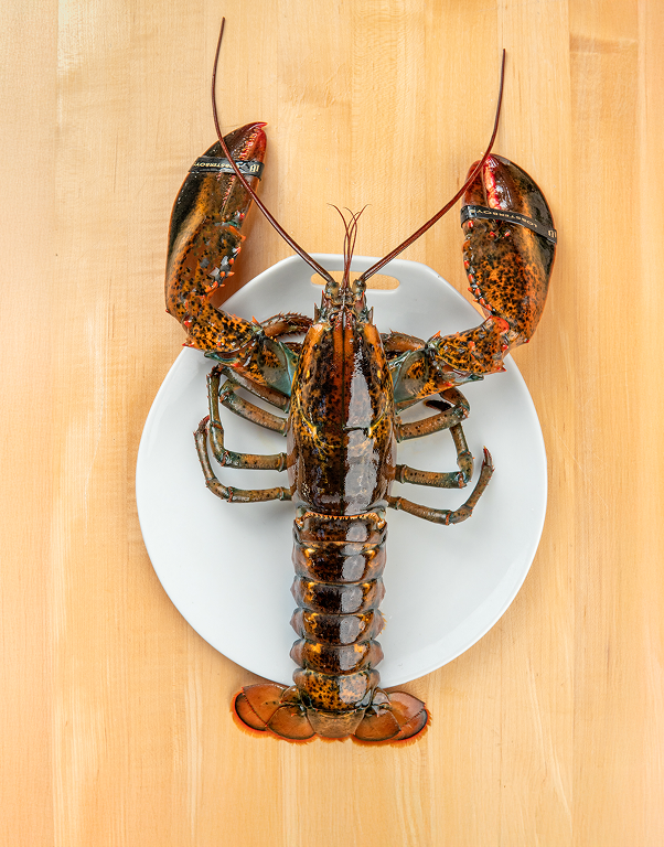 Halves - Chef Box (15 pcs) - Lobster Boys Halves - Chef Box (15 pcs) - Lobster Boys