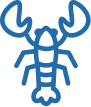 One live blue lobster