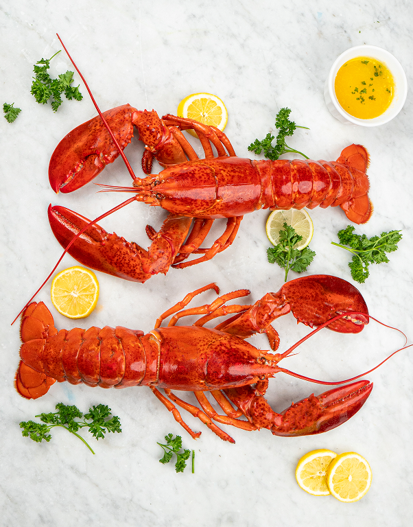 Jumbo Lobsters