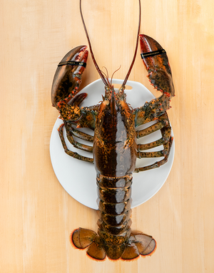 Jumbo Lobsters - Chef Box (9 pcs)