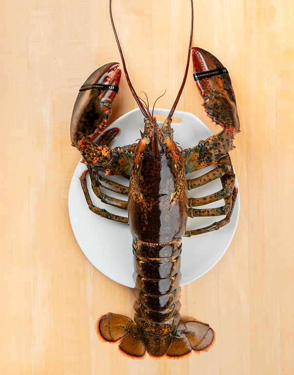 Jumbo Lobsters