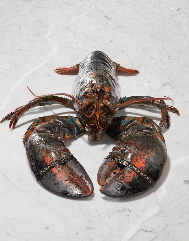 Jumbo Lobsters - Chef Box (9 pcs)