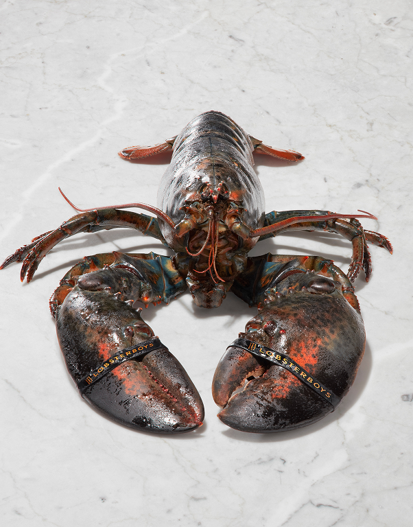 Jumbo Lobsters - Party Box (9 pcs)