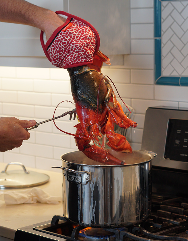 Jumbo Lobsters - Party Box (9 pcs)