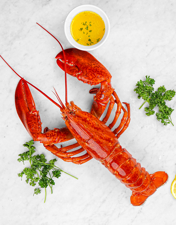 Jumbo Lobsters - Party Box (9 pcs)