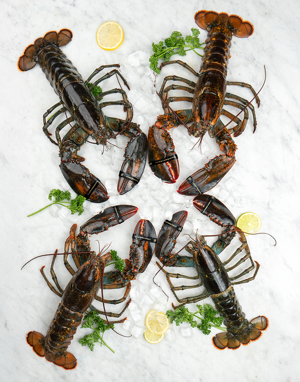 XL Jumbos - Chef Box (3 pcs)