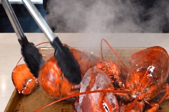 Cooking the lobster