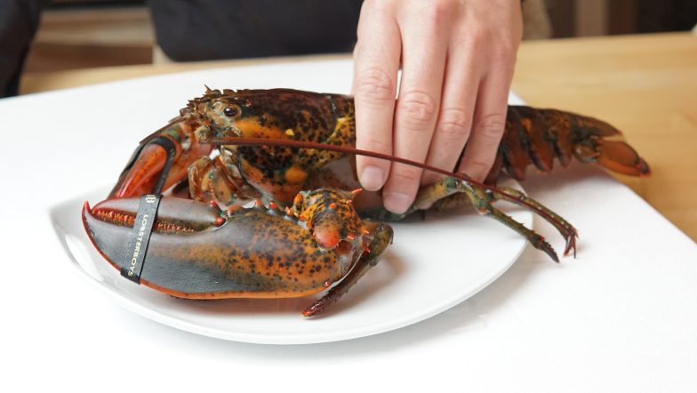Lobsterboys featured in Fine Homes & Living