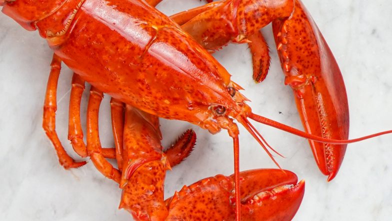 Parade reviews Lobsterboys live lobster delivery