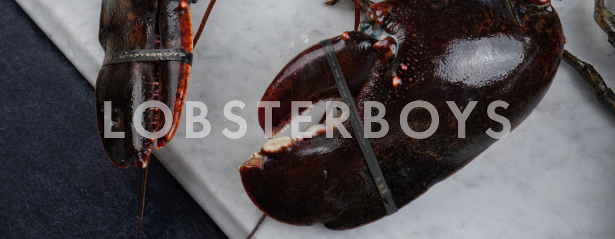 Lobsterboys hero image