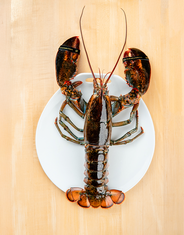Quarters - Chef Box (18 pcs) - Lobster Boys Quarters - Chef Box (18 pcs) - Lobster Boys