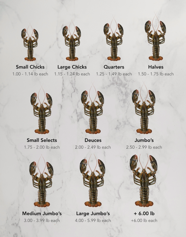 Deuces - Chef Box (11 pcs)