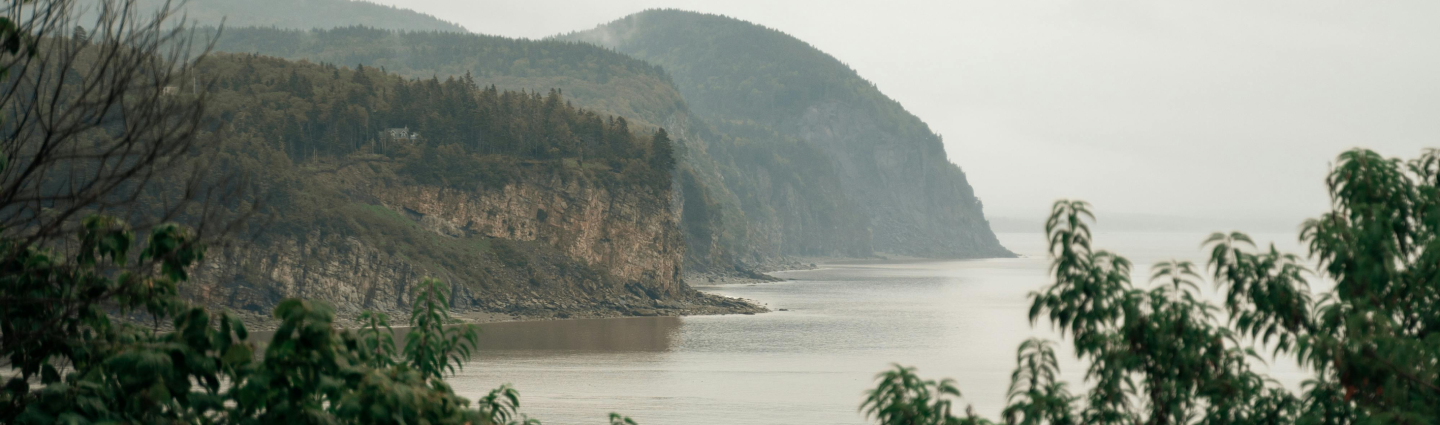 Lobster Live and Fresh 